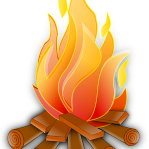 Brennholz kaufen