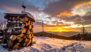 Ster Brennholz verständlich erklärt: Maße, Preise, Umrechnung auf brennholz-24.de